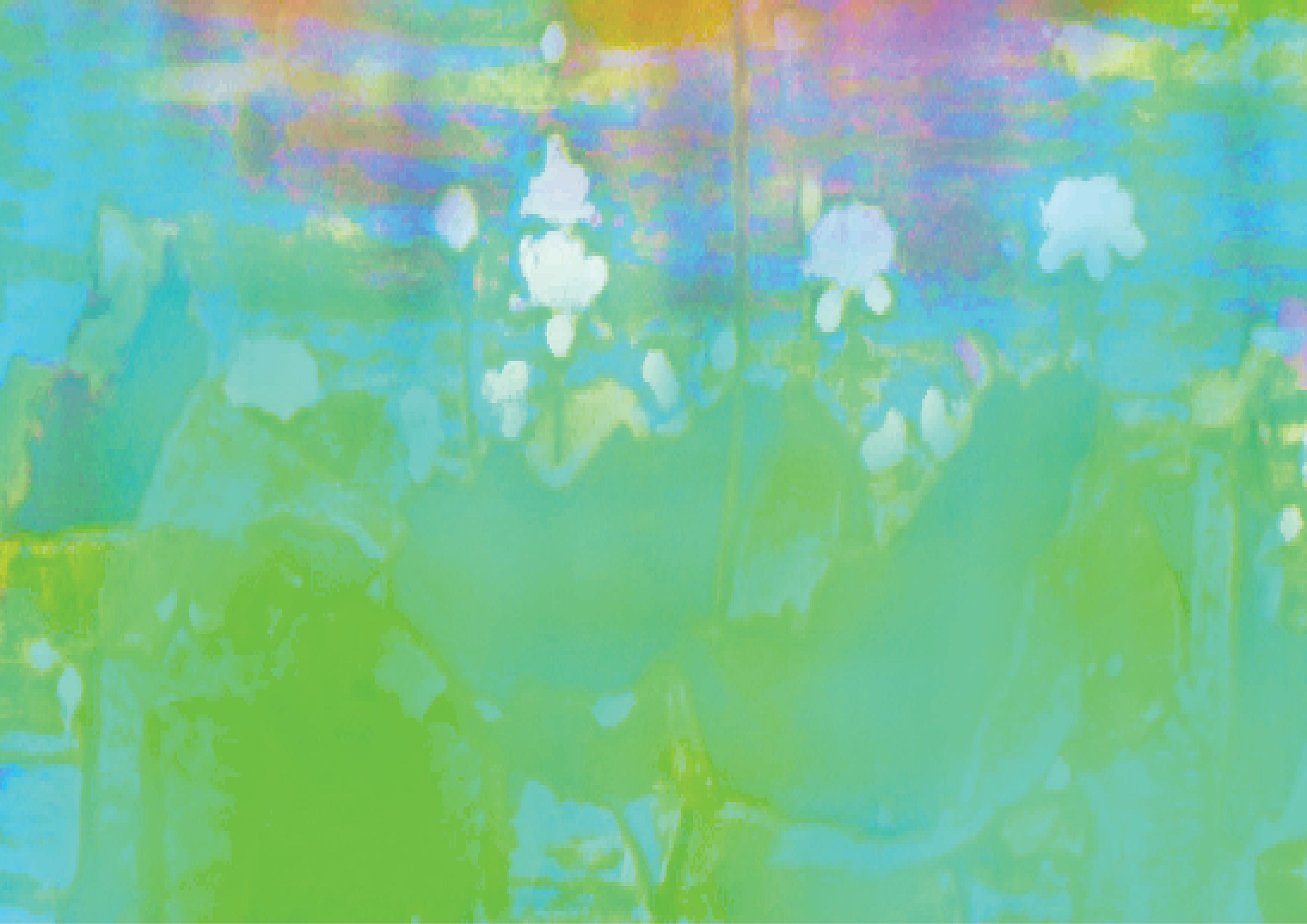 Abstract Impressionism